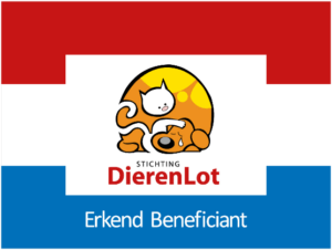 Organisatie 1 Organisatie 1