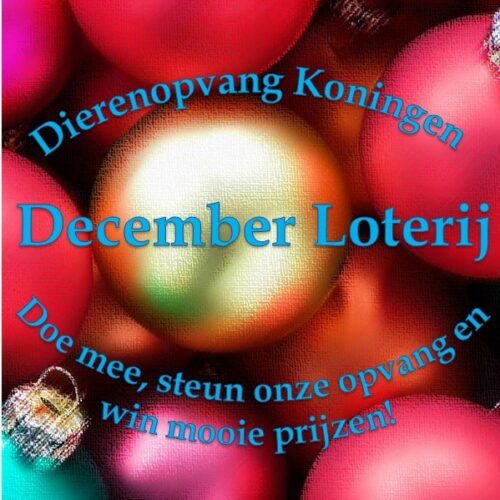 Dierenopvang Koningen December Loterij