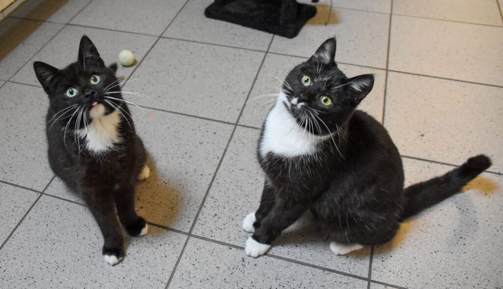 Mick en Martie - gereserveerd 3